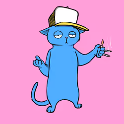 Blazed Cat #5761