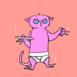 Blazed Cat #5285