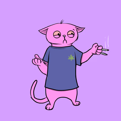 Blazed Cat #2132