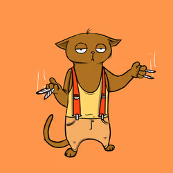 Blazed Cat #7455