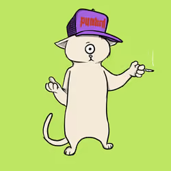 Blazed Cat #6768