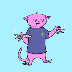 Blazed Cat #7545