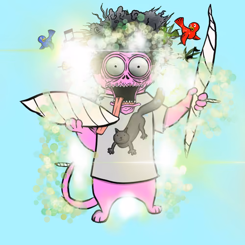 Bingy the Blazed Cat