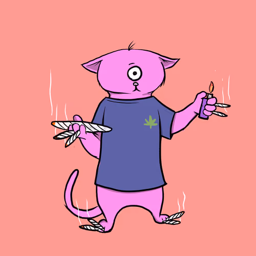 Blazed Cat #6688