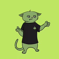 Blazed Cat #4638