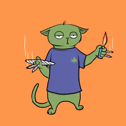 Blazed Cat #944