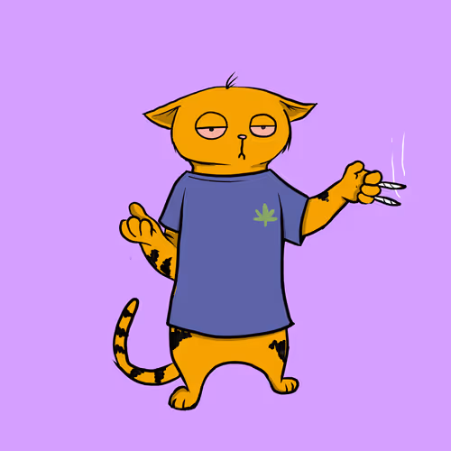 Blazed Cat #9215