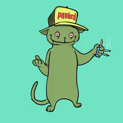 Blazed Cat #819
