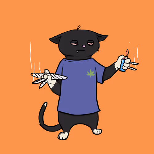 Blazed Cat #8284