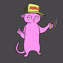 Blazed Cat #4936