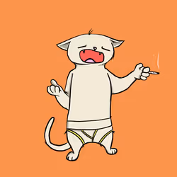 Blazed Cat #4778