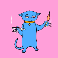 Blazed Cat #6308