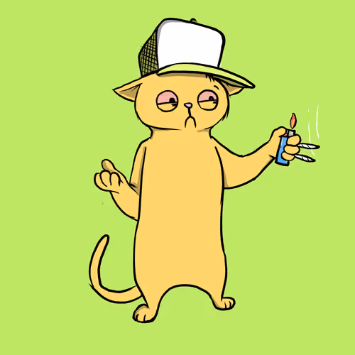 Blazed Cat #9929