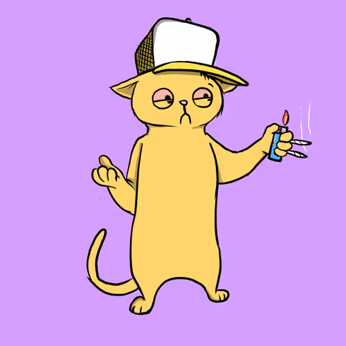 Blazed Cat #1460
