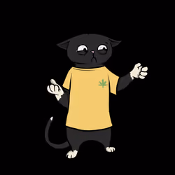 Blazed Cat #7329