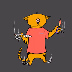 Blazed Cat #1146