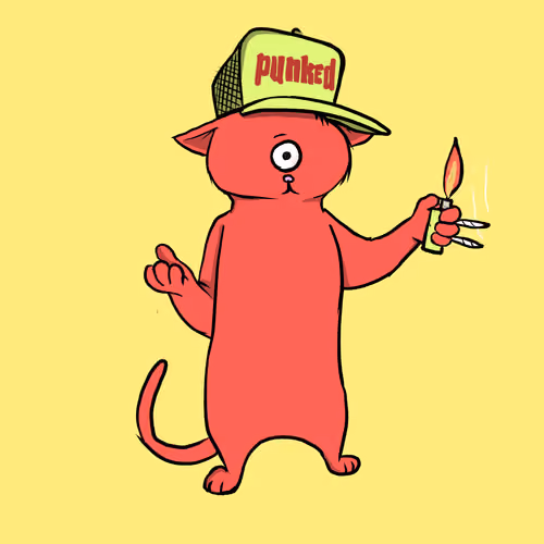 Blazed Cat #9163