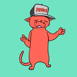Blazed Cat #9829
