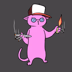 Blazed Cat #5185