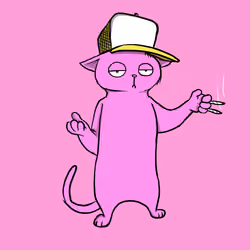 Blazed Cat #7365