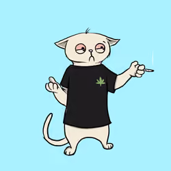 Blazed Cat #9847
