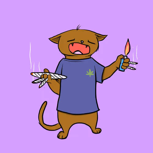 Blazed Cat #4365