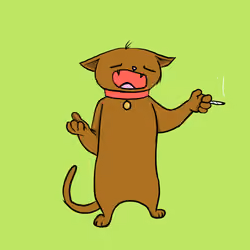 Blazed Cat #1741