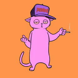 Blazed Cat #9510
