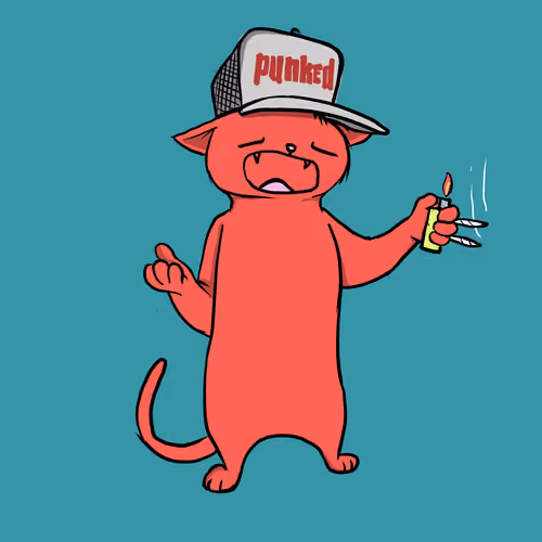 Blazed Cat #2918