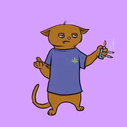Blazed Cat #2337