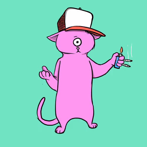 Blazed Cat #5767