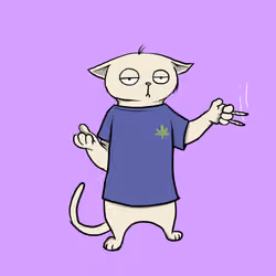 Blazed Cat #635
