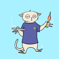 Blazed Cat #3987