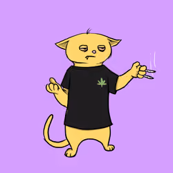 Blazed Cat #9343