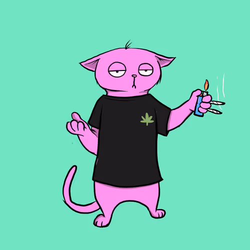 Blazed Cat #9167
