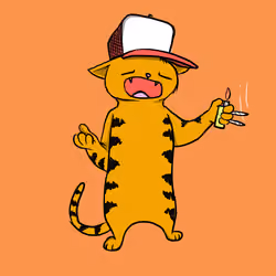 Blazed Cat #4380