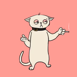 Blazed Cat #1849