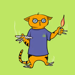 Blazed Cat #9299