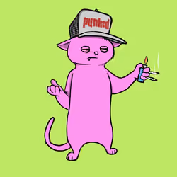 Blazed Cat #7881