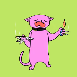 Blazed Cat #5921