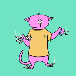 Blazed Cat #4025