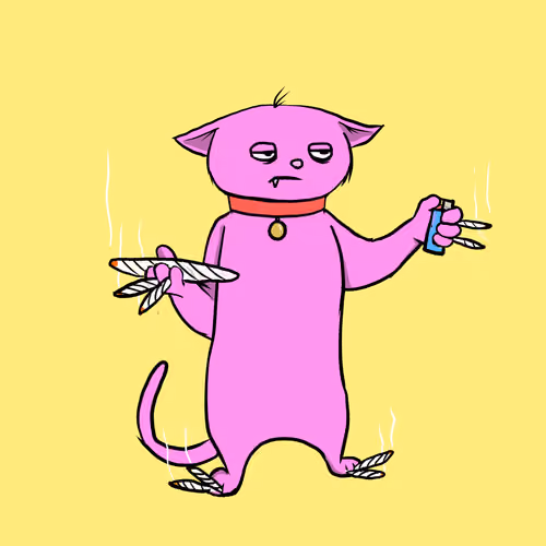 Blazed Cat #6464