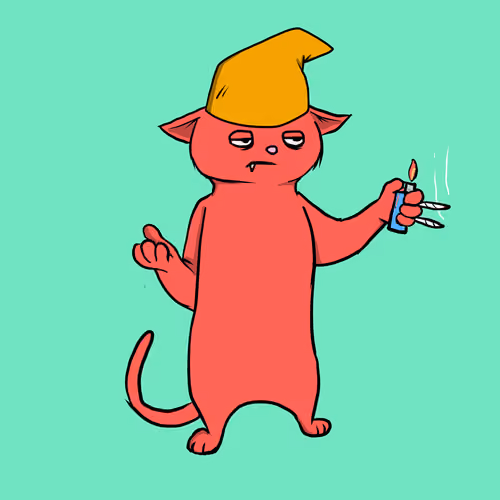 Blazed Cat #6273