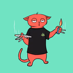 Blazed Cat #8424