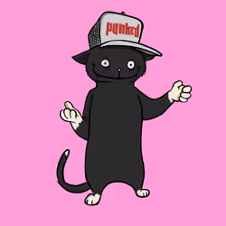 Blazed Cat #8119