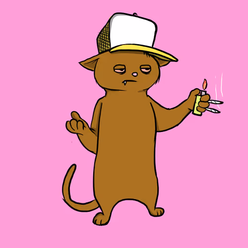 Blazed Cat #2672