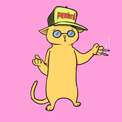 Blazed Cat #6512