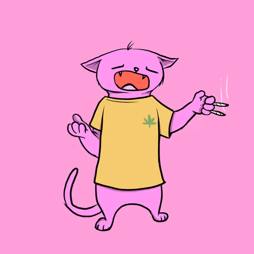 Blazed Cat #9844
