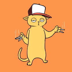 Blazed Cat #3681
