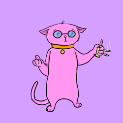 Blazed Cat #8760